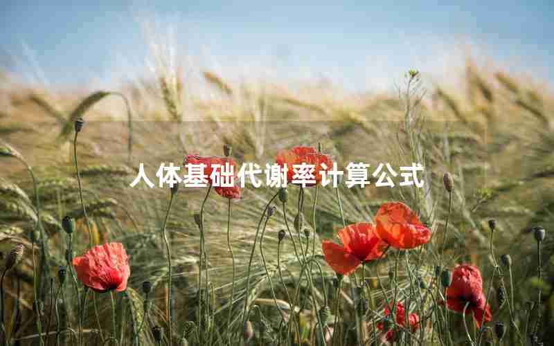 人体基础代谢率计算公式 人体基础代谢率计算公式