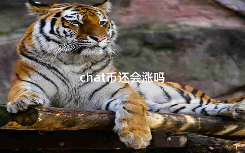 chat币还会涨吗 chat币还会涨吗