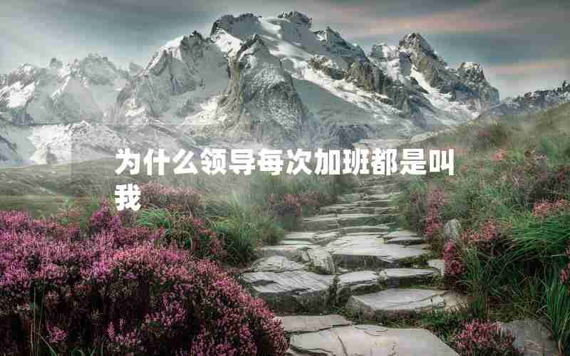为什么领导每次加班都是叫我 为什么领导每次加班都是叫我