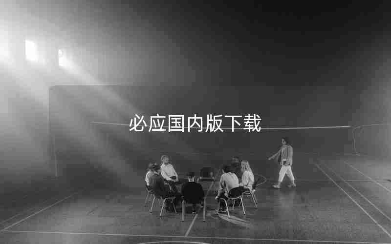 必应国内版下载