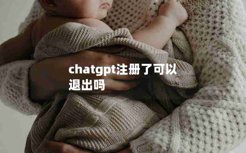 chatgpt注册了可以退出吗