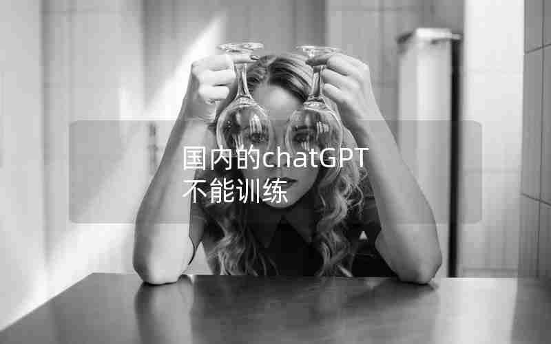 国内的chatGPT 不能训练