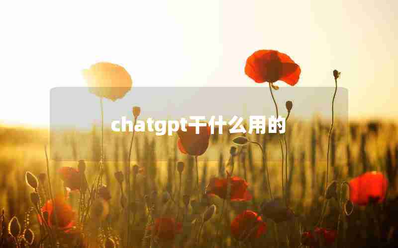 chatgpt干什么用的