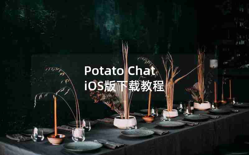 Potato Chat iOS版下载教程 Potato Chat iOS版下载教程