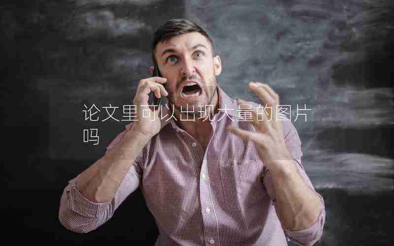 论文里可以出现大量的图片吗 论文里可以出现大量的图片吗