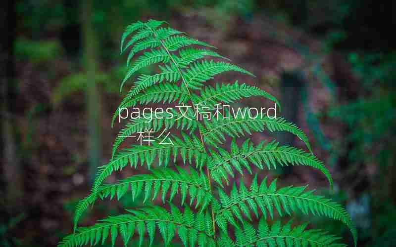 pages文稿和word一样么 pages文稿和word一样么