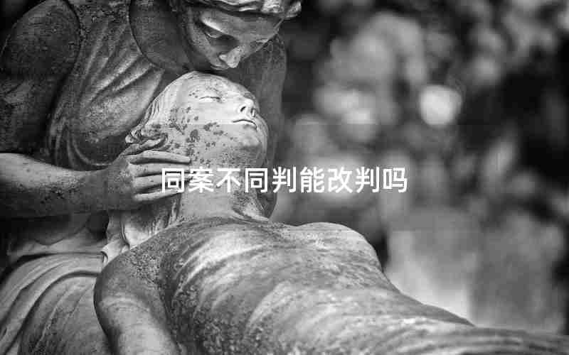 同案不同判能改判吗