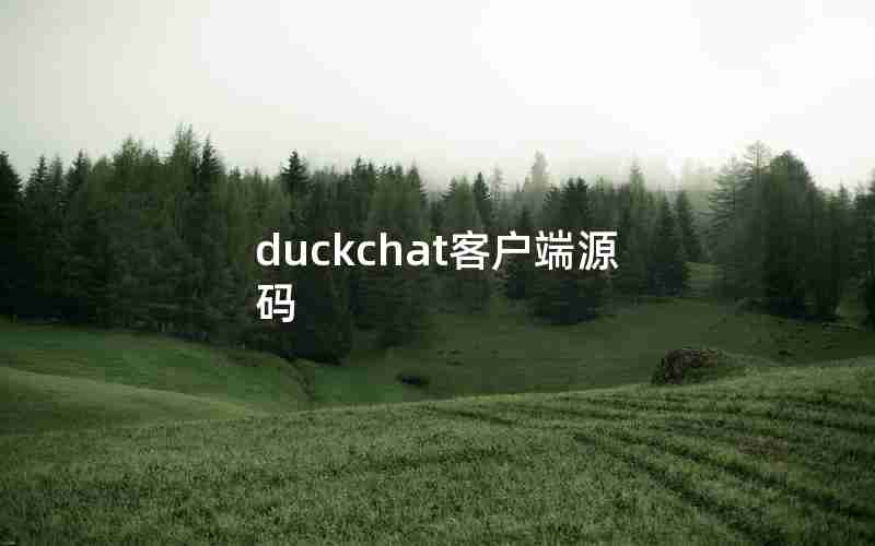 duckchat客户端源码 duckchat客户端源码