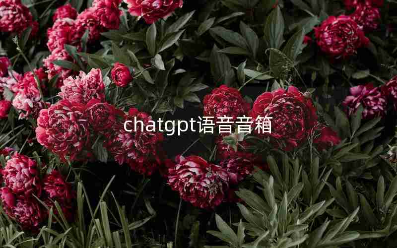 chatgpt语音音箱 chatgpt语音音箱