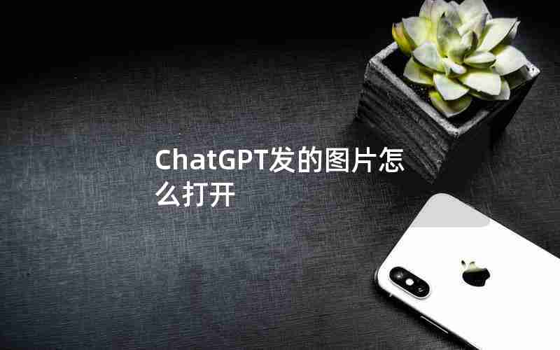 ChatGPT发的图片怎么打开 ChatGPT发的图片怎么打开