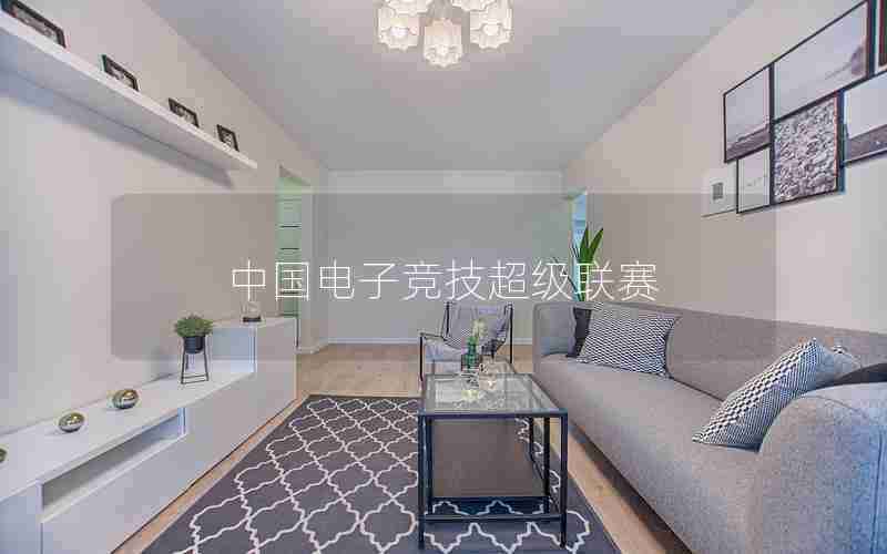 中国电子竞技超级联赛 中国电子竞技超级联赛