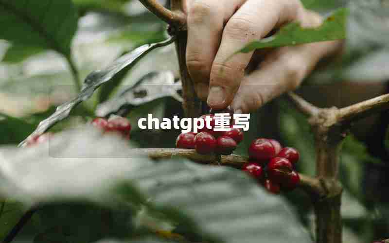 chatgpt重写