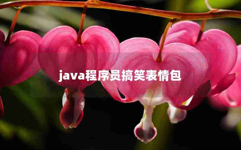 java程序员搞笑表情包