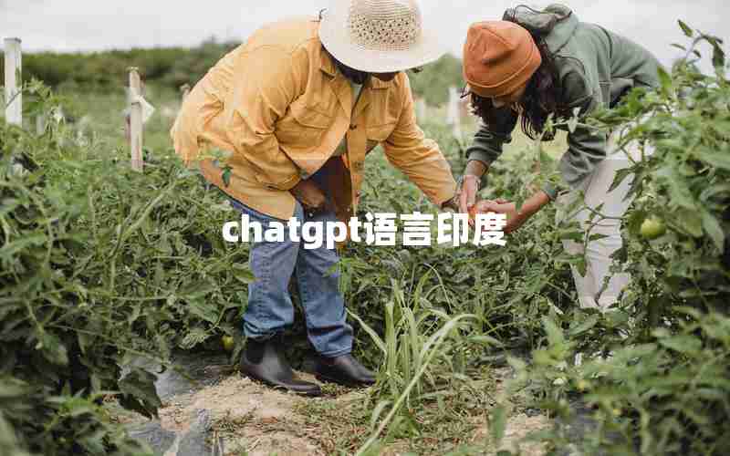 chatgpt语言印度 chatgpt语言印度