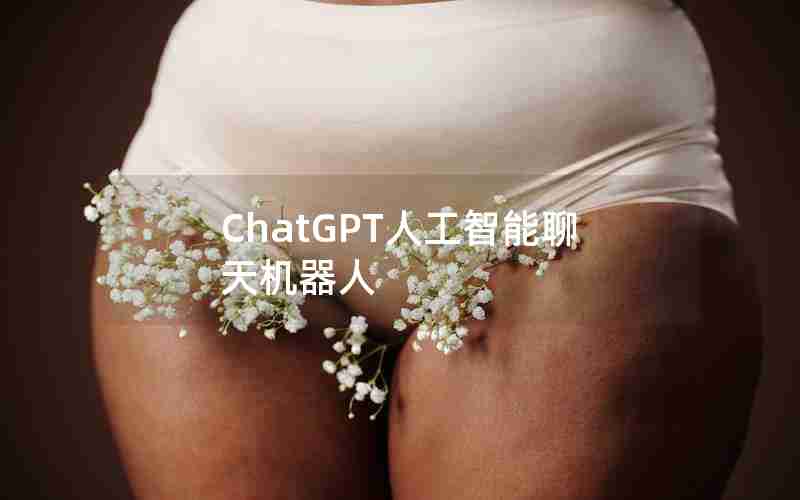 ChatGPT人工智能聊天机器人 ChatGPT人工智能聊天机器人