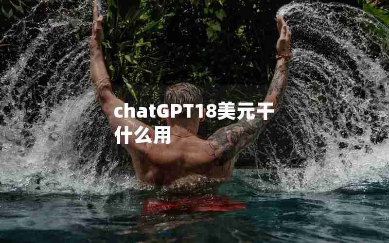 chatGPT18美元干什么用