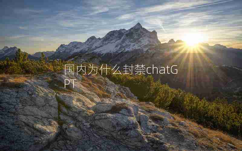 国内为什么封禁chatGPT