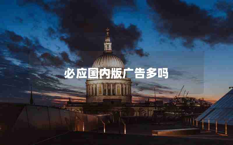 必应国内版广告多吗