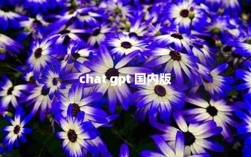 chat gpt 国内版