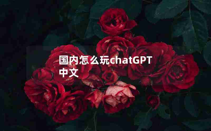 国内怎么玩chatGPT中文 国内怎么玩chatGPT中文