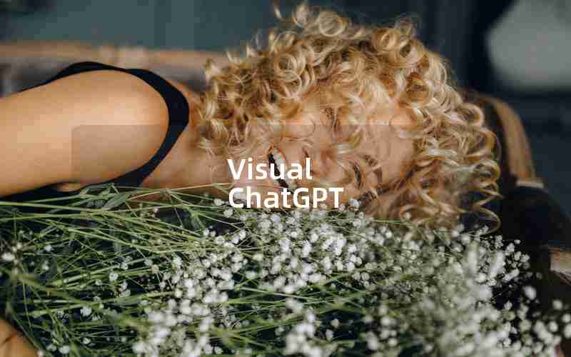 Visual ChatGPT