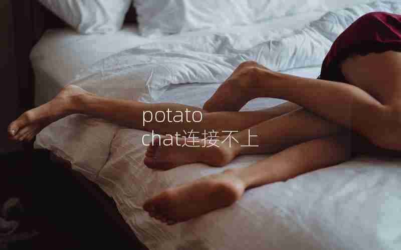 potato chat连接不上