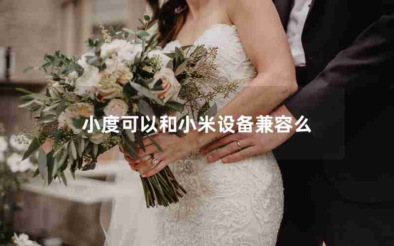 小度可以和小米设备兼容么