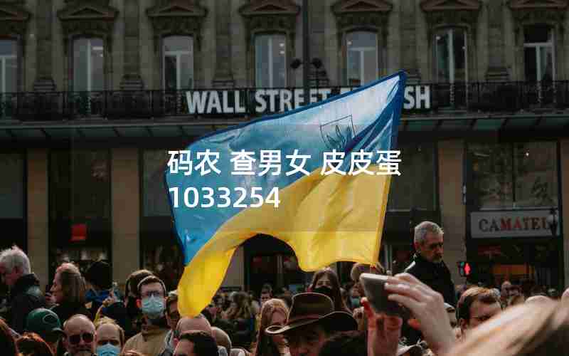 码农 查男女 皮皮蛋 1033254