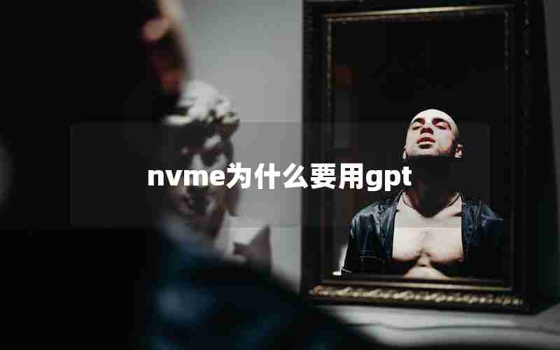 nvme为什么要用gpt