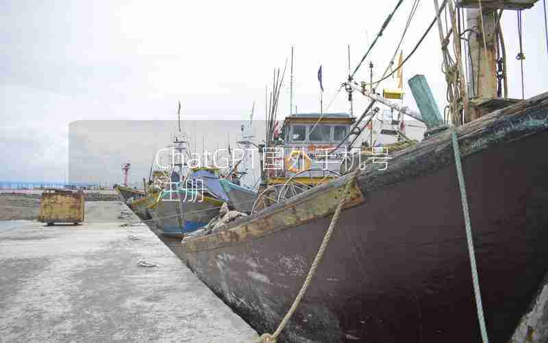 ChatGPT国外手机号注册 ChatGPT国外手机号注册