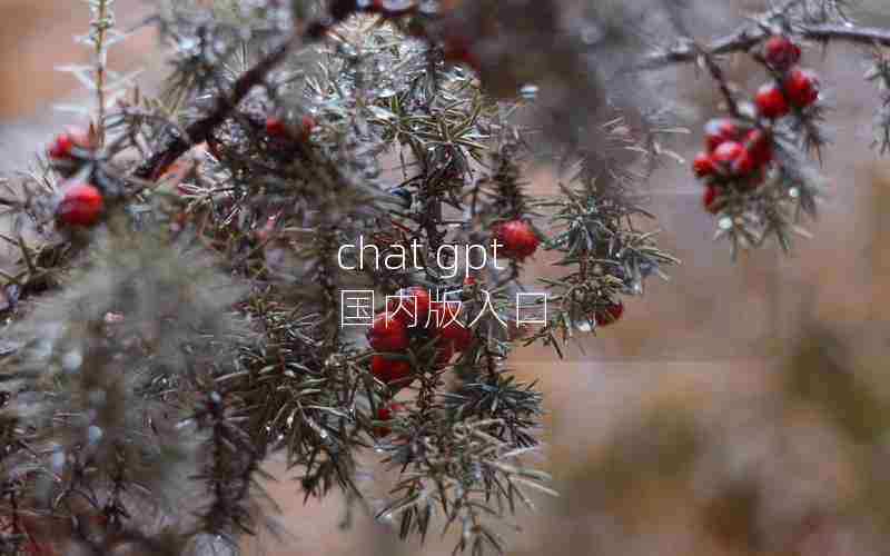 chat gpt 国内版入口