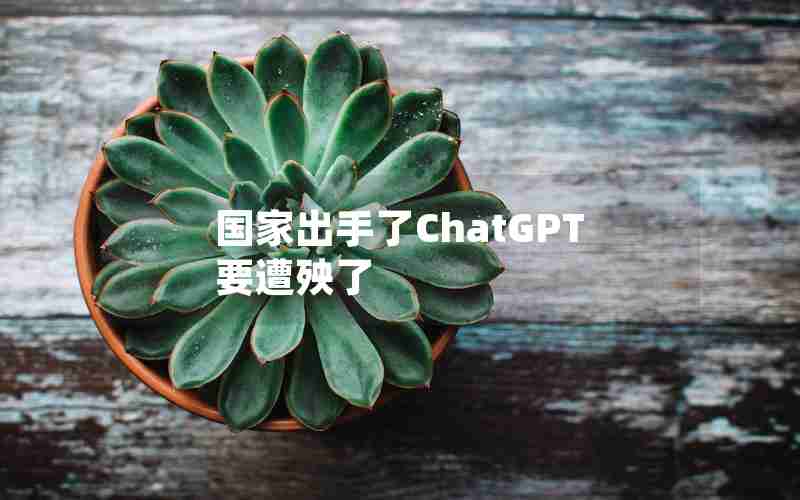 国家出手了ChatGPT要遭殃了