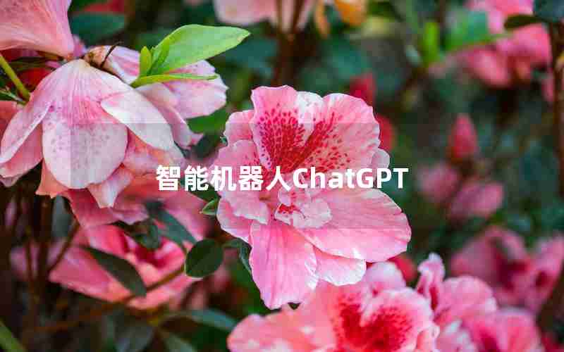 智能机器人ChatGPT