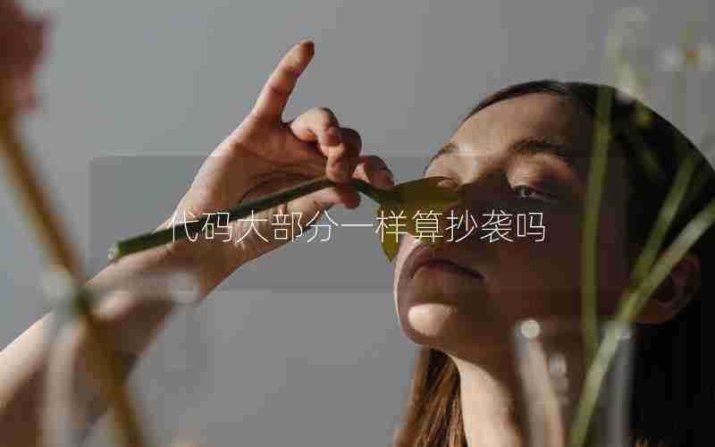 代码大部分一样算抄袭吗 代码大部分一样算抄袭吗