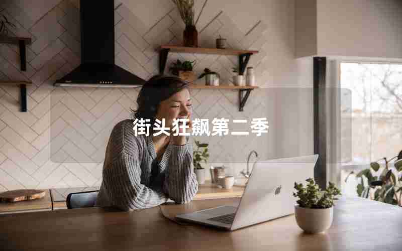 街头狂飙第二季 街头狂飙第二季