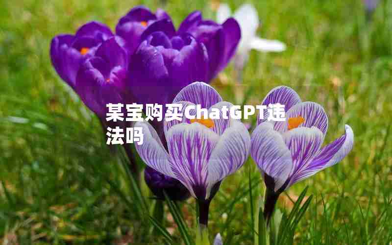 某宝购买ChatGPT违法吗 某宝购买ChatGPT违法吗