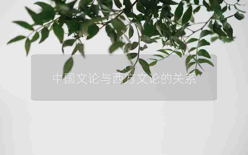 中国文论与西方文论的关系