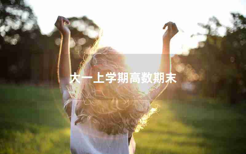 大一上学期高数期末 大一上学期高数期末
