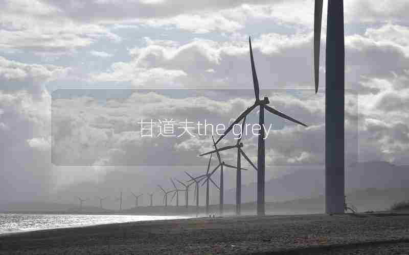 甘道夫the grey 甘道夫the grey