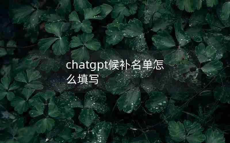 chatgpt候补名单怎么填写 chatgpt候补名单怎么填写