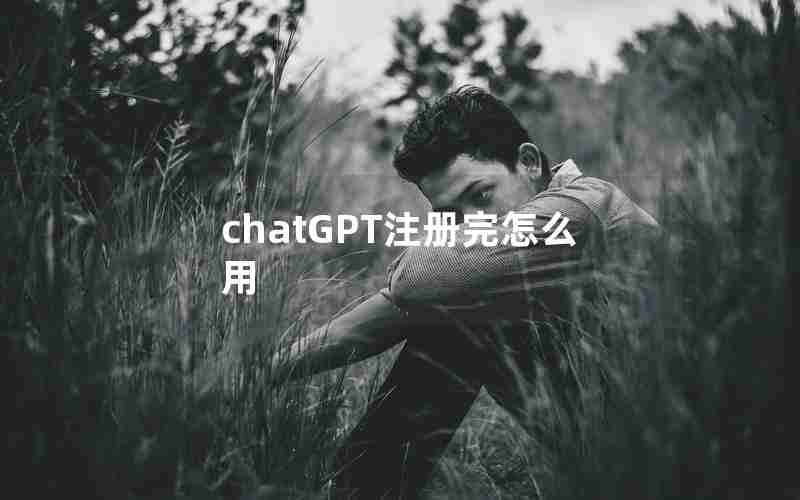 chatGPT注册完怎么用