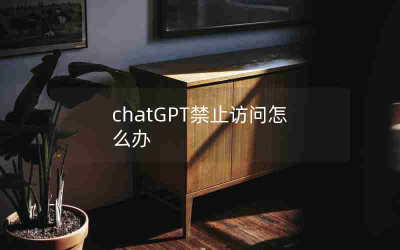 chatGPT禁止访问怎么办