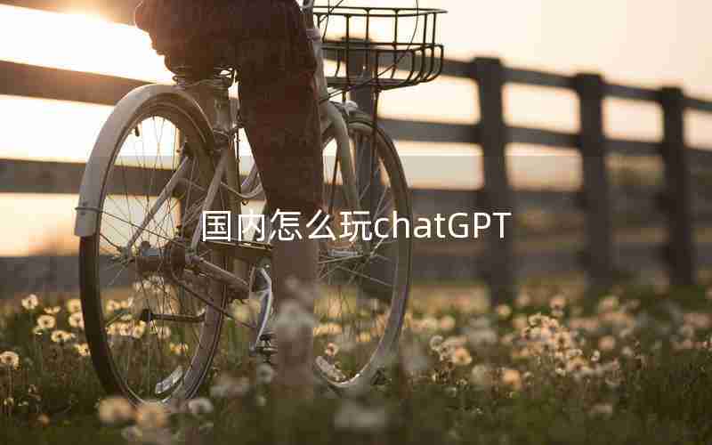 国内怎么玩chatGPT 国内怎么玩chatGPT