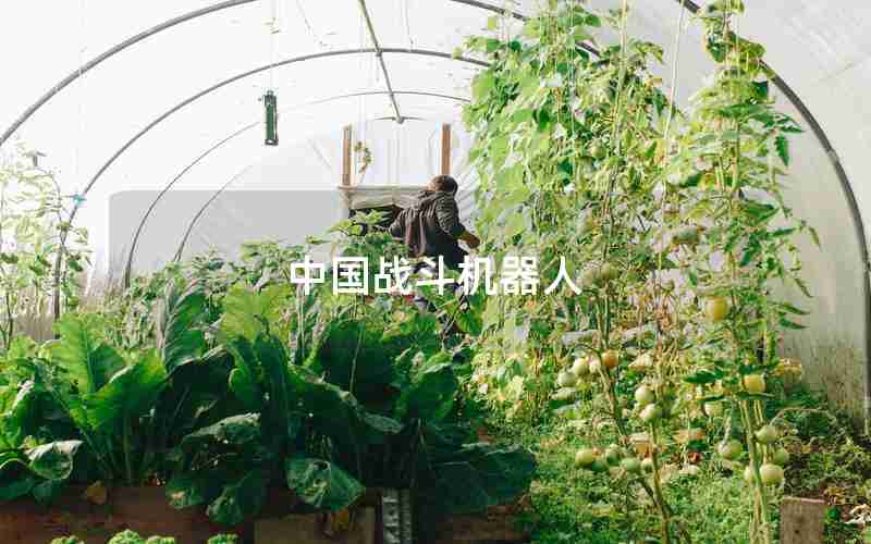 中国战斗机器人 中国战斗机器人