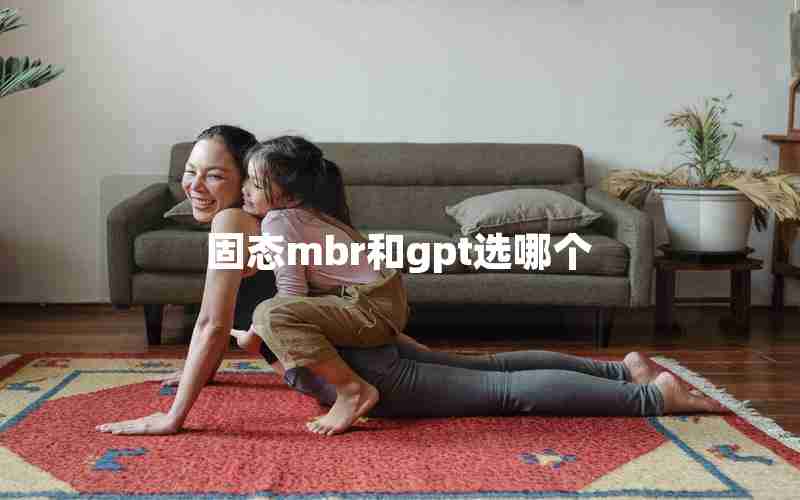 固态mbr和gpt选哪个