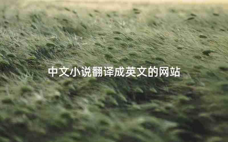 中文小说翻译成英文的网站