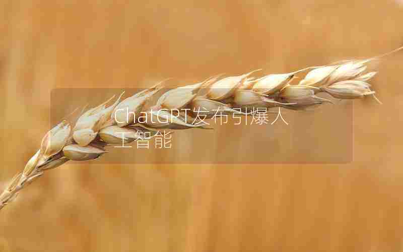 ChatGPT发布引爆人工智能 ChatGPT发布引爆人工智能