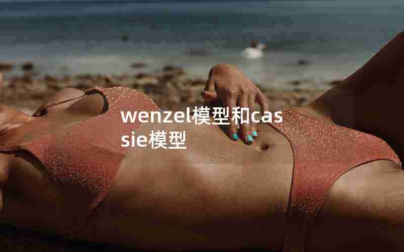 wenzel模型和cassie模型