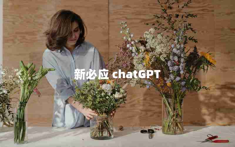 新必应 chatGPT 新必应 chatGPT