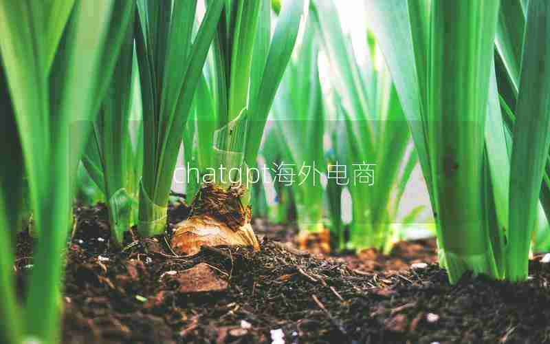 chatgpt海外电商
